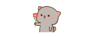 🌹