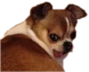😛