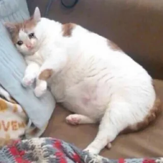 😢
