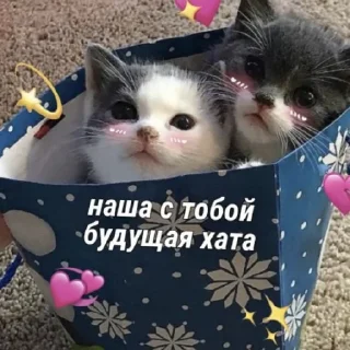 🥰