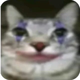 👄