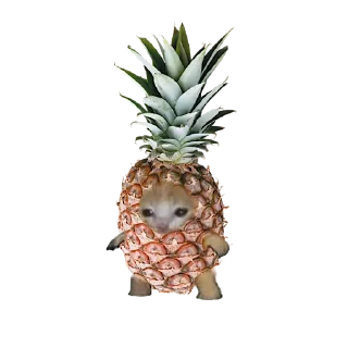 🍍