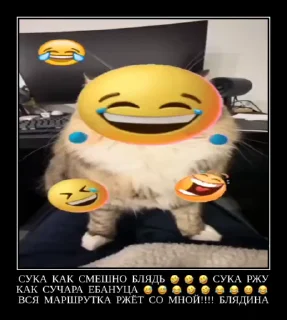 🤣