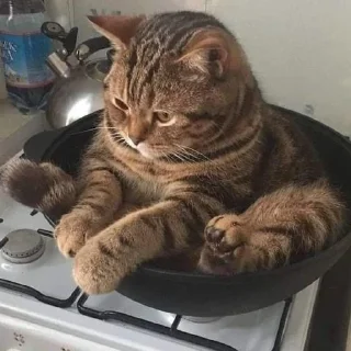🍜