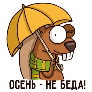 🌧