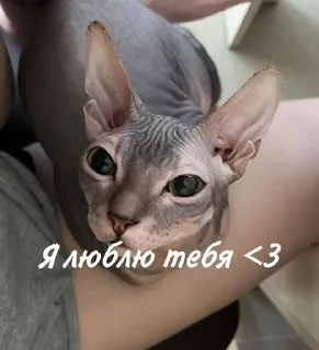 💋
