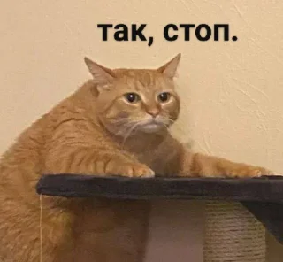 😐