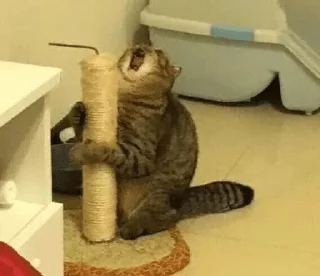 😱