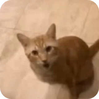 😦