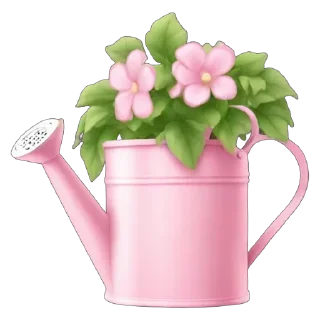 🌸