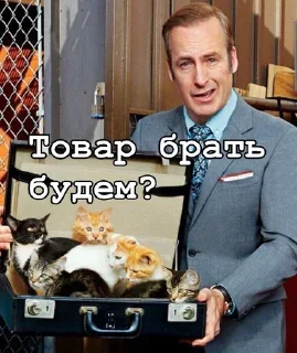 🐈