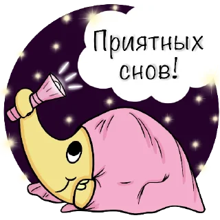 🌙