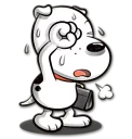 🐶
