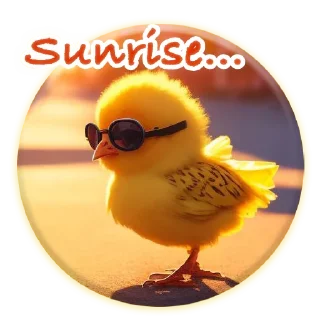 🌅