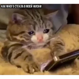 😥