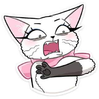 🐱