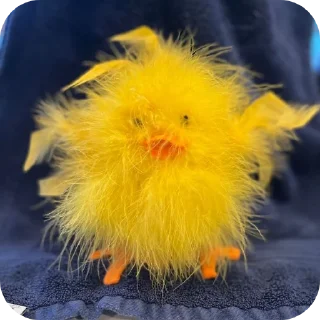 🦆