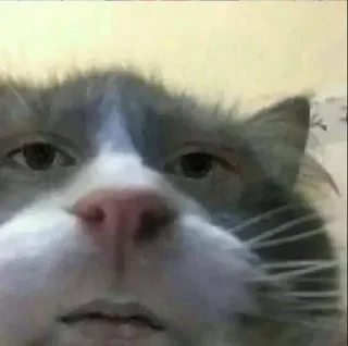 😐