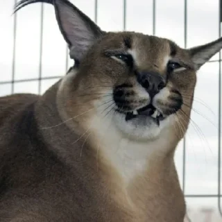 😨