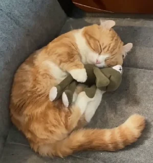 🤗