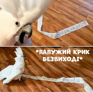 😱