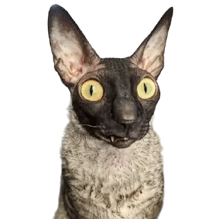 😨