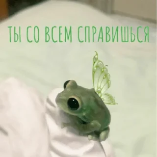 ⭐️