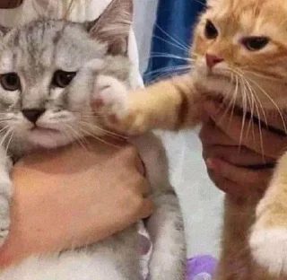 👊
