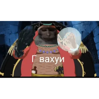 🐵