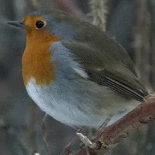 😀
