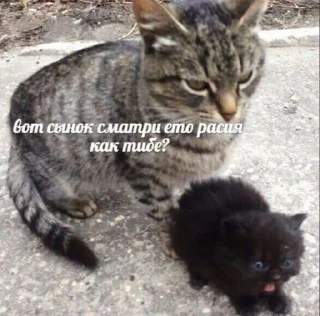 🇷🇺