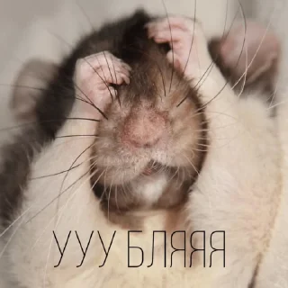 😔