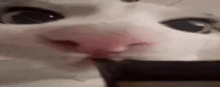 😋