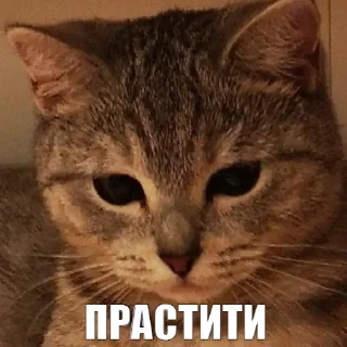 😢