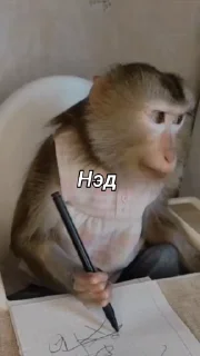 🤩