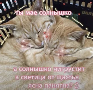 💖