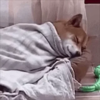 😴