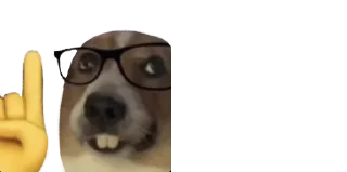 🤓