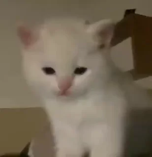 🤭