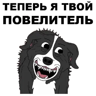 🤶