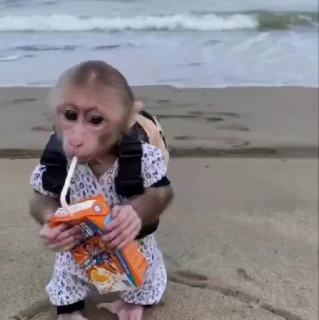 🧃