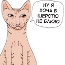 😸