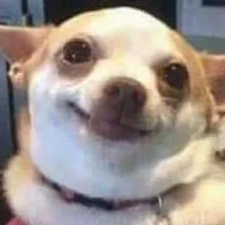 🙂