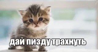 😣