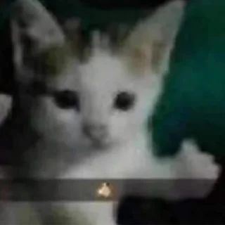 👍