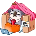 🏠