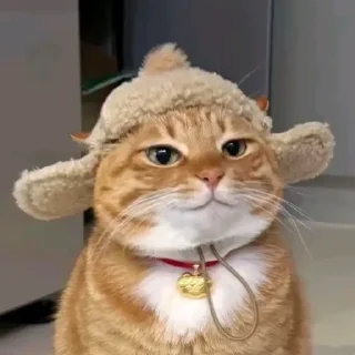 🤩