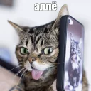 😏