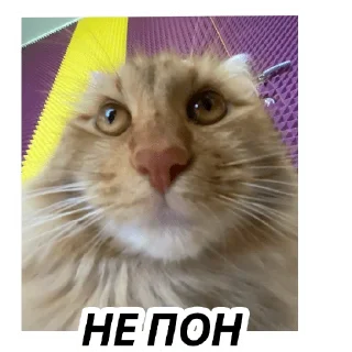 😐