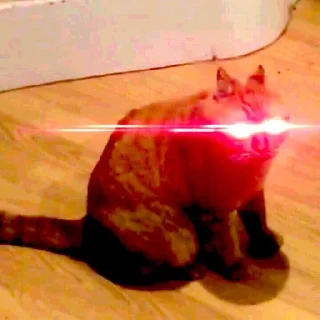 😎